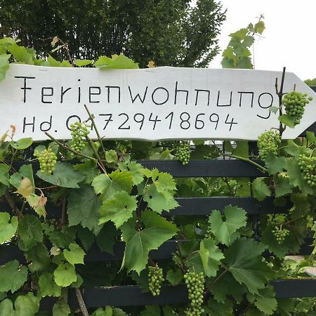 Ferienwohnung Anke Huhn Нордхаузен Екстериор снимка